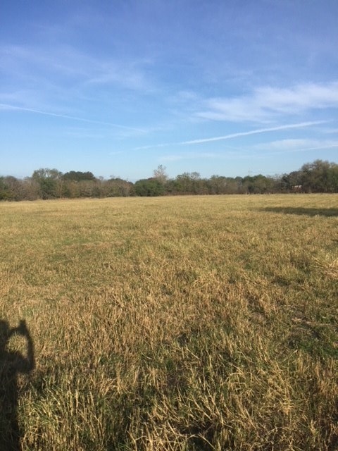 Seguin-luling Old Seguin Luling Road Seguin, TX 78155 - Photo 1 of 1