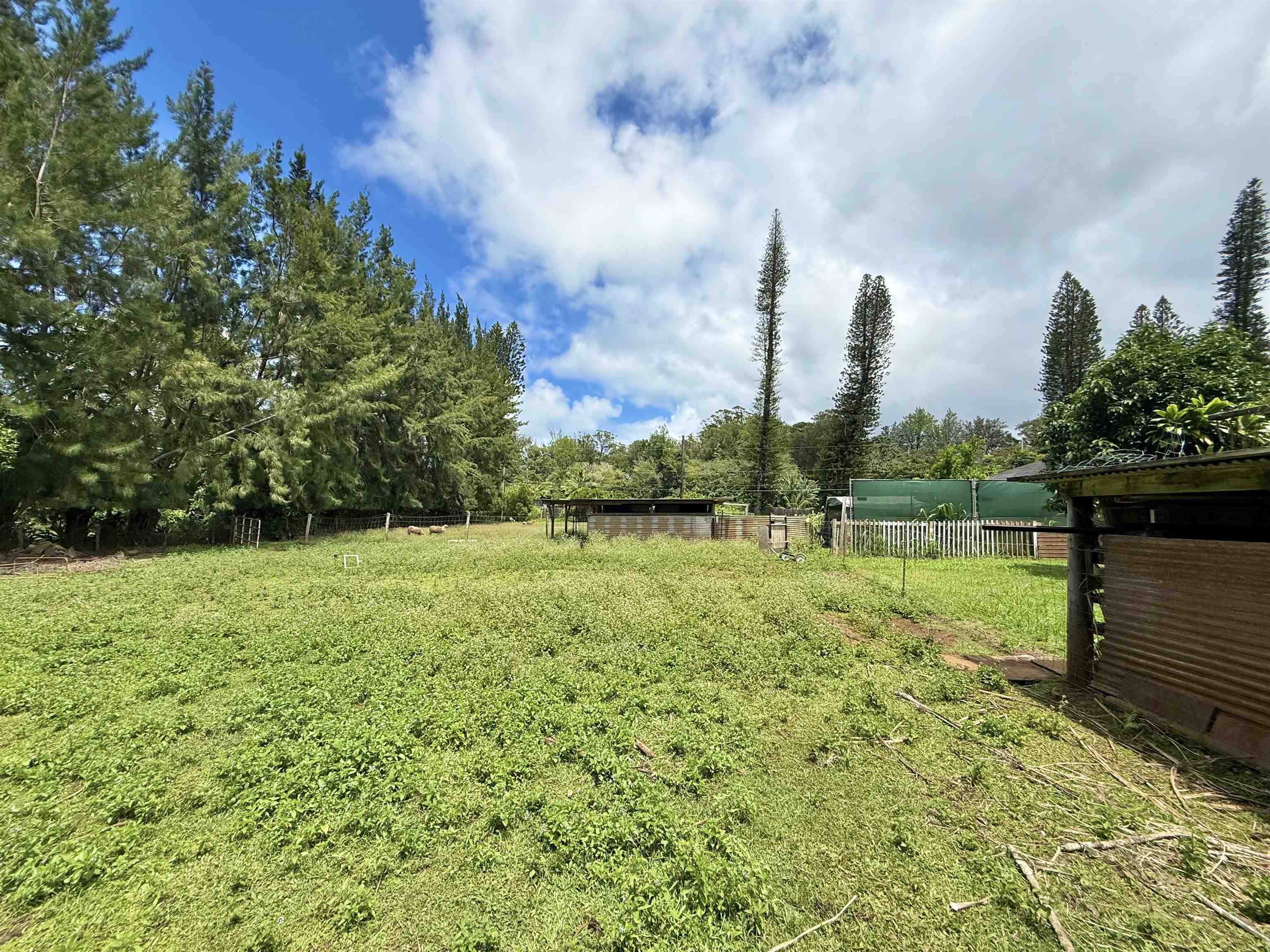 1630 Kauhikoa Road Haiku, HI 96708 - Photo 38 of 48 a view of a garden with a bench