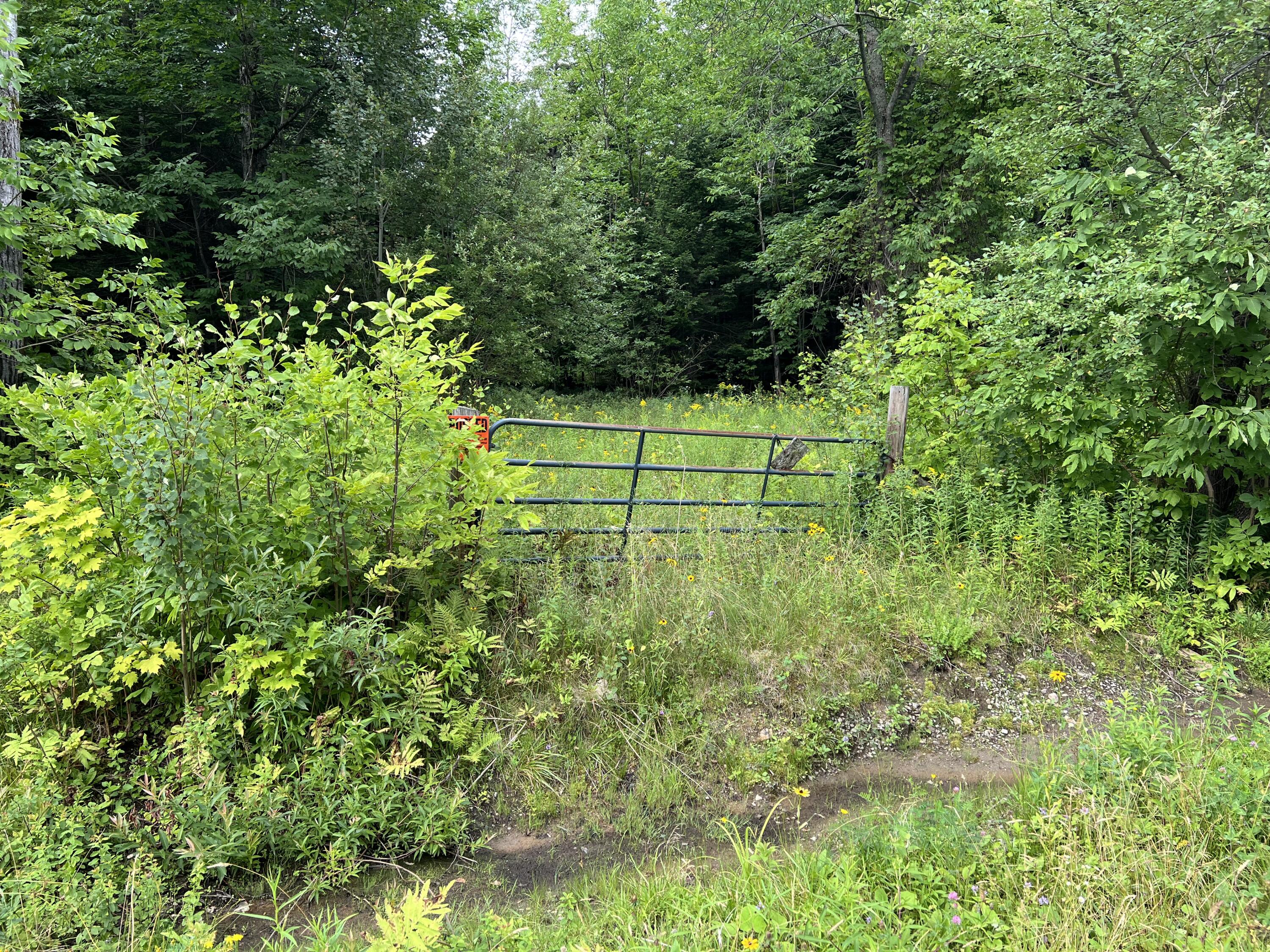0 Hugh Herron Road Saranac, NY 12981 - Photo 2 of 8 IMG_4126