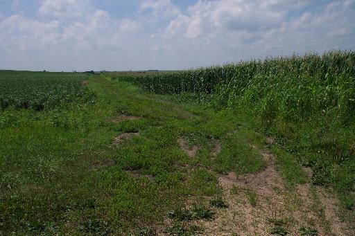 162 Acres Malta Road Kirkland, IL 60146 - Photo 4 of 4 a view of a field in middle of green field