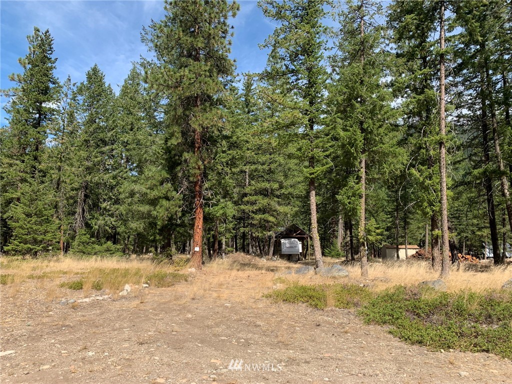 27 Mink Road Mazama, WA 98833 - Photo 1 of 21 Gallery Image 1
