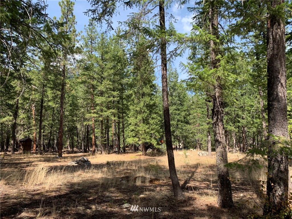 27 Mink Road Mazama, WA 98833 - Photo 11 of 21 Gallery Image 11
