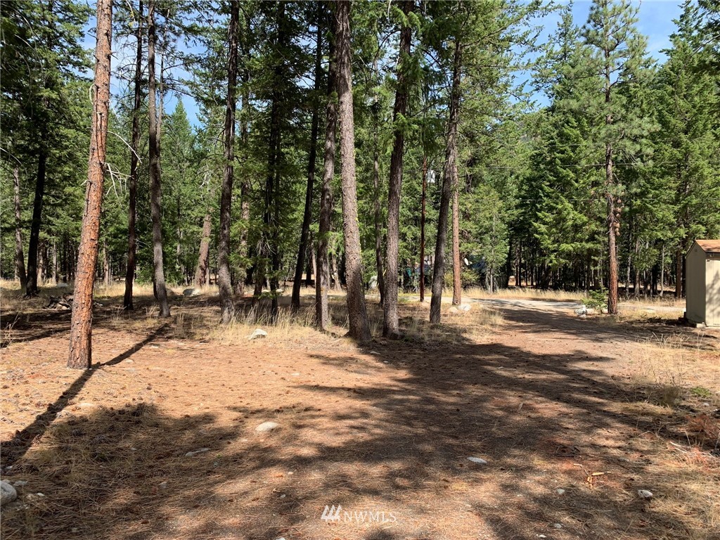 27 Mink Road Mazama, WA 98833 - Photo 12 of 21 Gallery Image 12