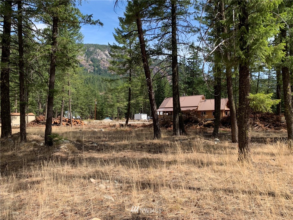 27 Mink Road Mazama, WA 98833 - Photo 13 of 21 Gallery Image 13