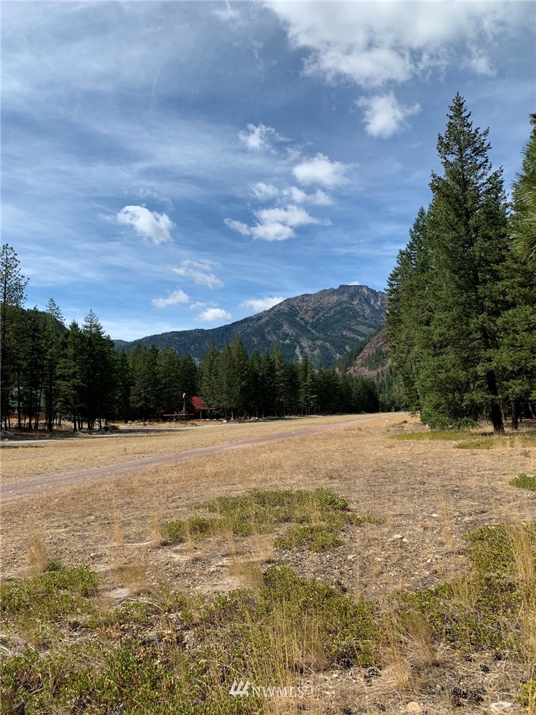 27 Mink Road Mazama, WA 98833 - Photo 19 of 21 Gallery Image 19