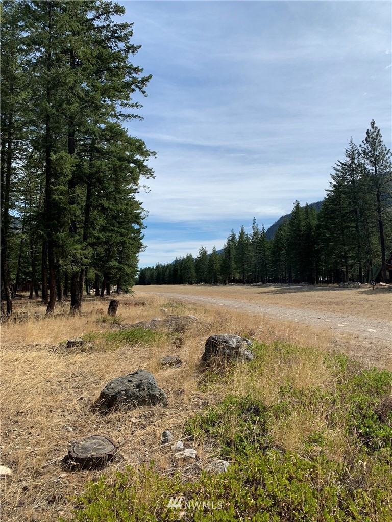27 Mink Road Mazama, WA 98833 - Photo 20 of 21 Gallery Image 20