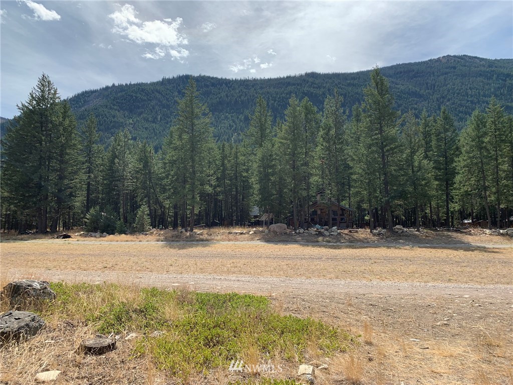 27 Mink Road Mazama, WA 98833 - Photo 6 of 21 Gallery Image 6