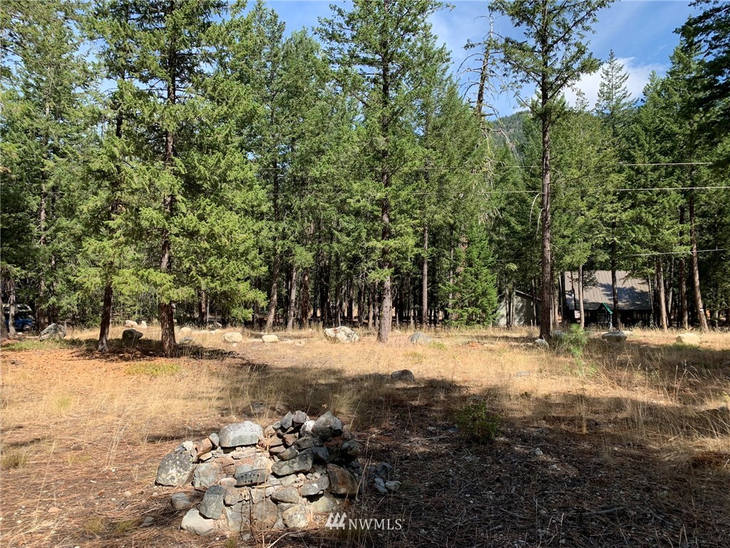 27 Mink Road Mazama, WA 98833 - Photo 9 of 21 Gallery Image 9