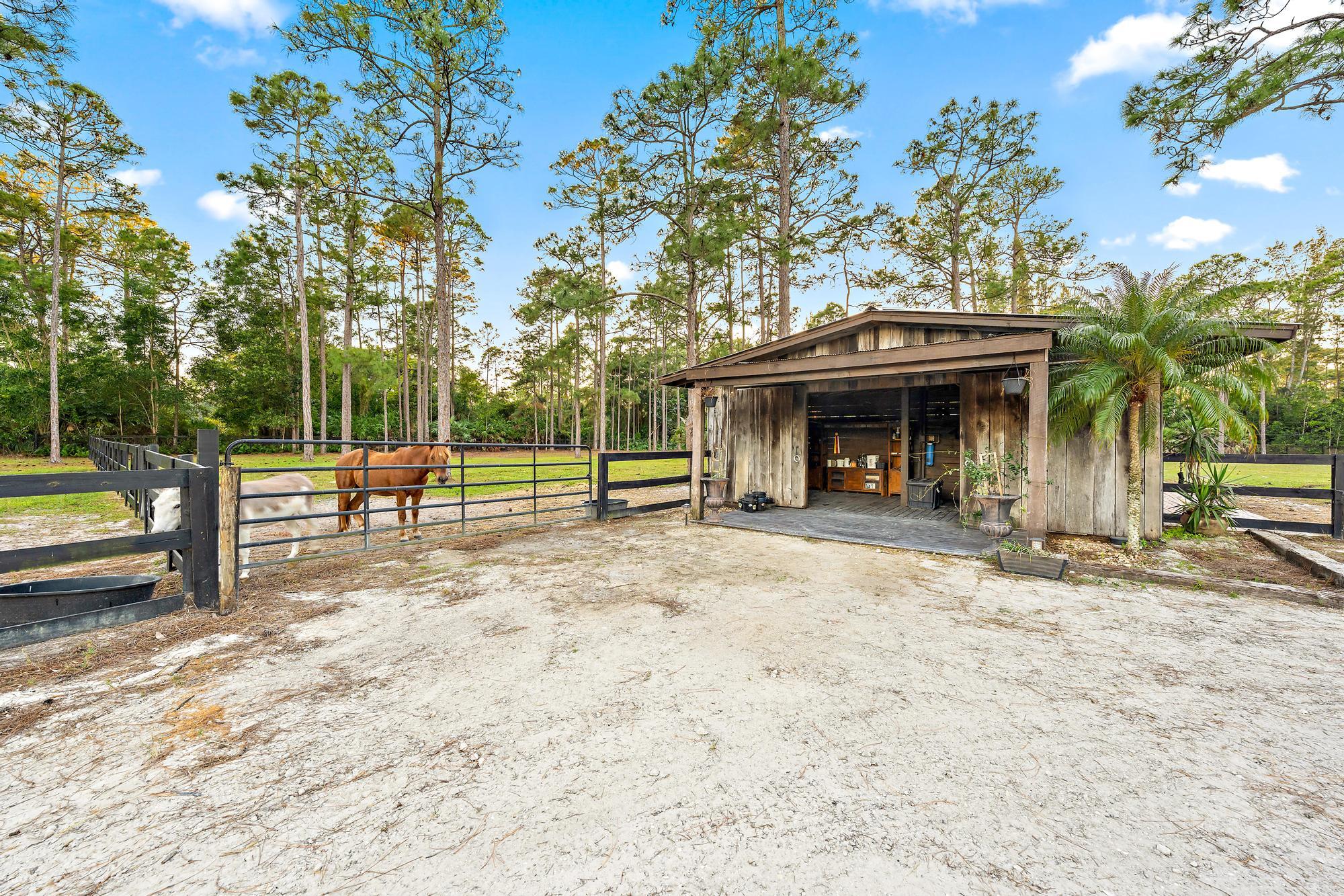 14765 Calusa Trail Palm Beach Gardens, FL 33418 - Photo 35 of 49 a view of a house with a backyard and a tree