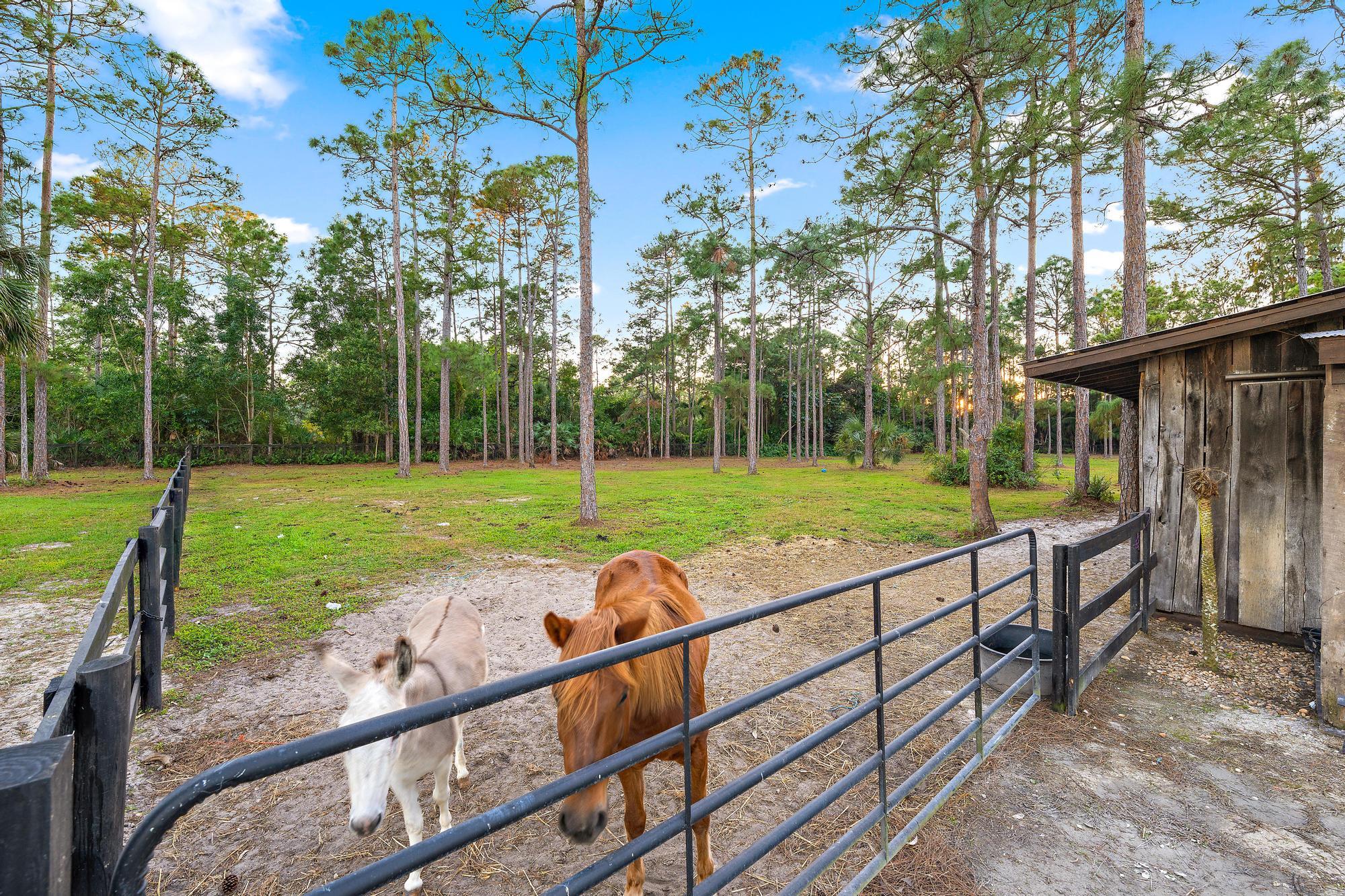 14765 Calusa Trail Palm Beach Gardens, FL 33418 - Photo 41 of 49 a view of a park with large trees