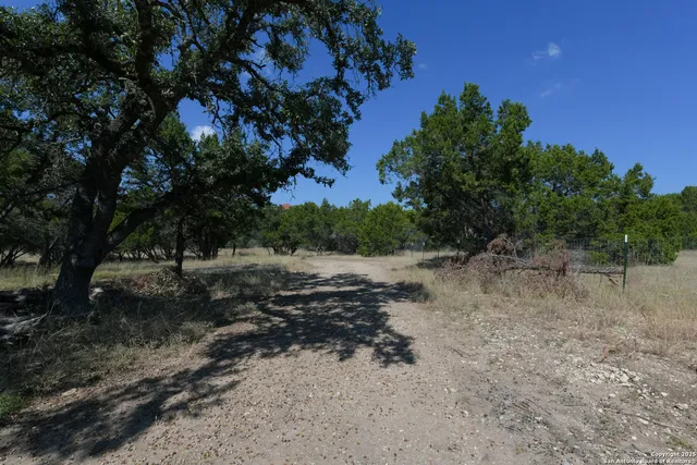 a view of a dry yard with trees