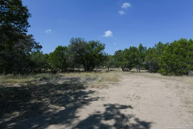 a view of outdoor space with trees all around