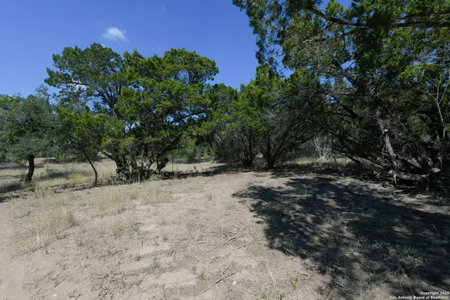 a view of backyard with green space