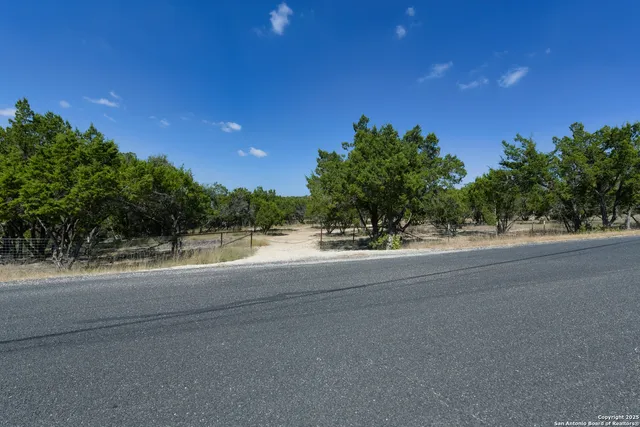a view of road and trees