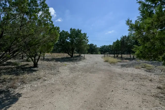 a view of outdoor space with trees