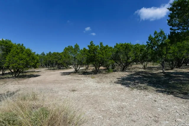 a view of backyard with green space