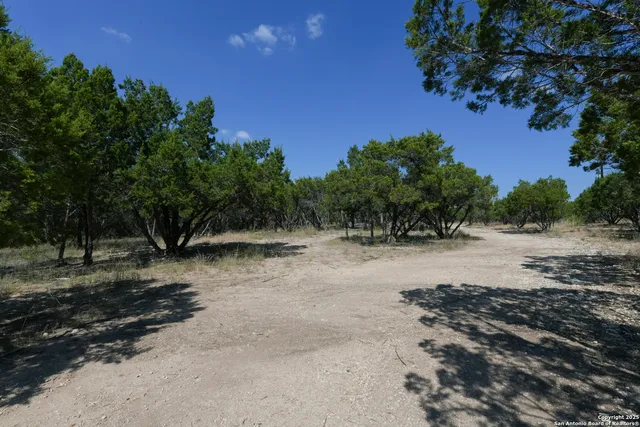 a view of backyard with green space