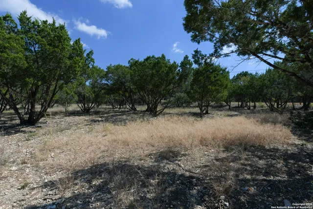 a view of outdoor space with trees all around