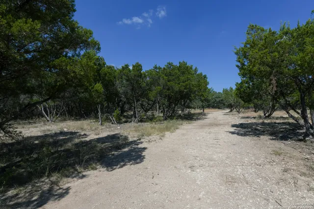 a view of outdoor space with trees all around
