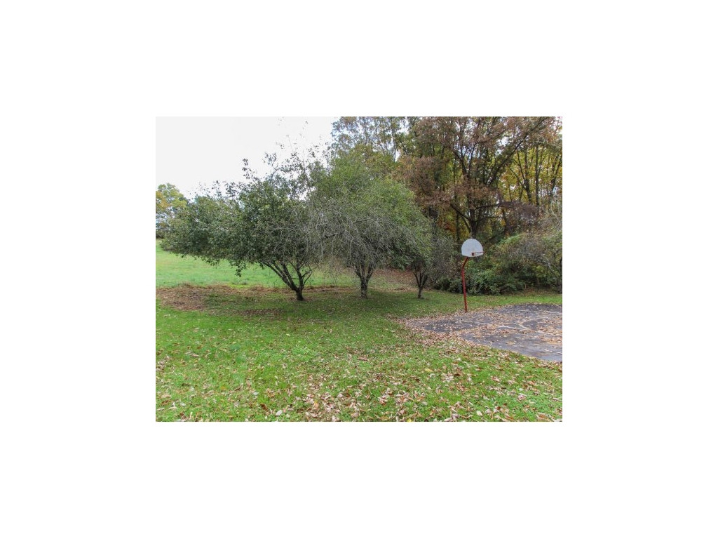255 Cedar Creek Road Gray, TN 37615 - Photo 16 of 21 Photo 16