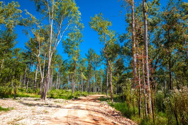 $390,000 | 575 Rabbit Pen Drive, Appling, GA 30802