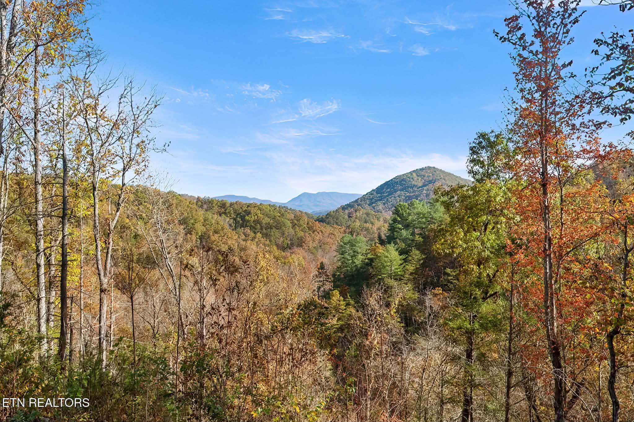3571 Locust Ridge Road Sevierville, TN 37876 - Photo 16 of 21 Messenger_creation_F6083999-F725-4884-A9