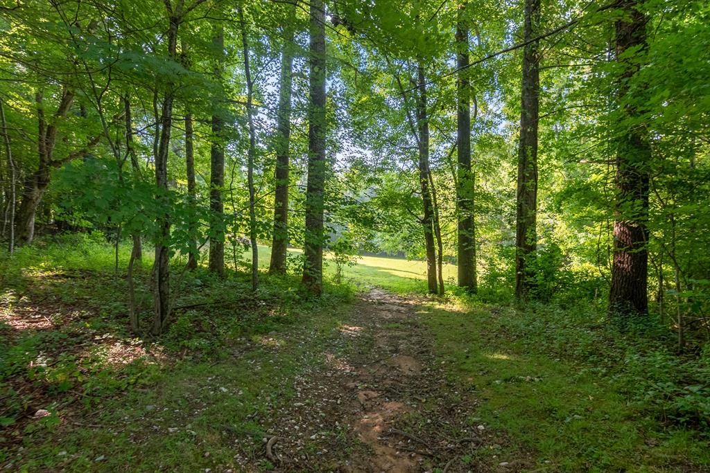 644 Daniels Run Road Northeast Check, VA 24072 - Photo 70 of 75 Gallery Image 70