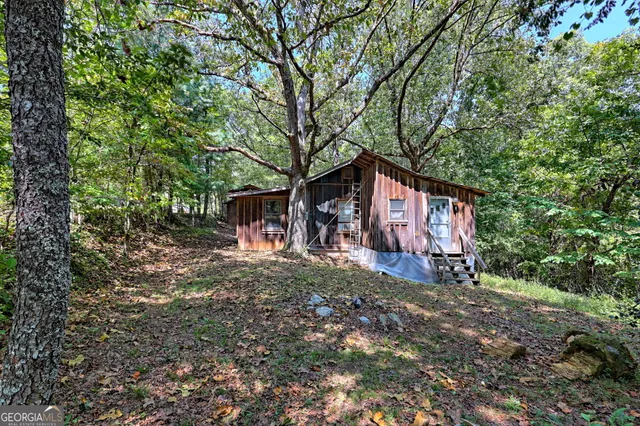 a view of a forest with a lush green forest