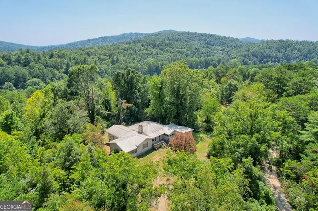 a view of a lush green forest with trees in the background