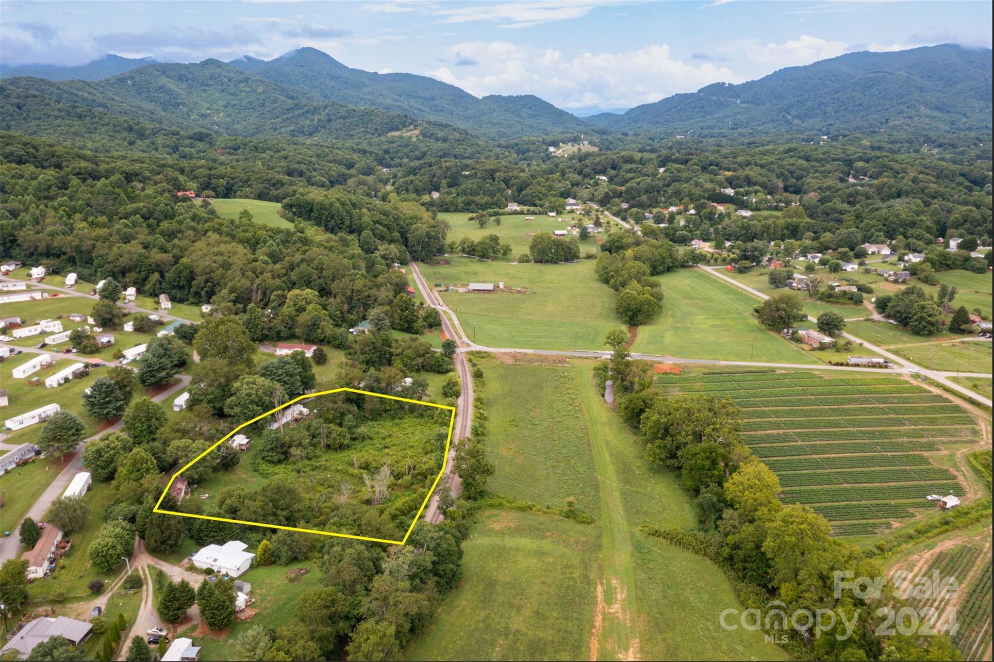 53 Old Wilson Road Candler, NC 28715 - Photo 5 of 10 Gallery Image 5