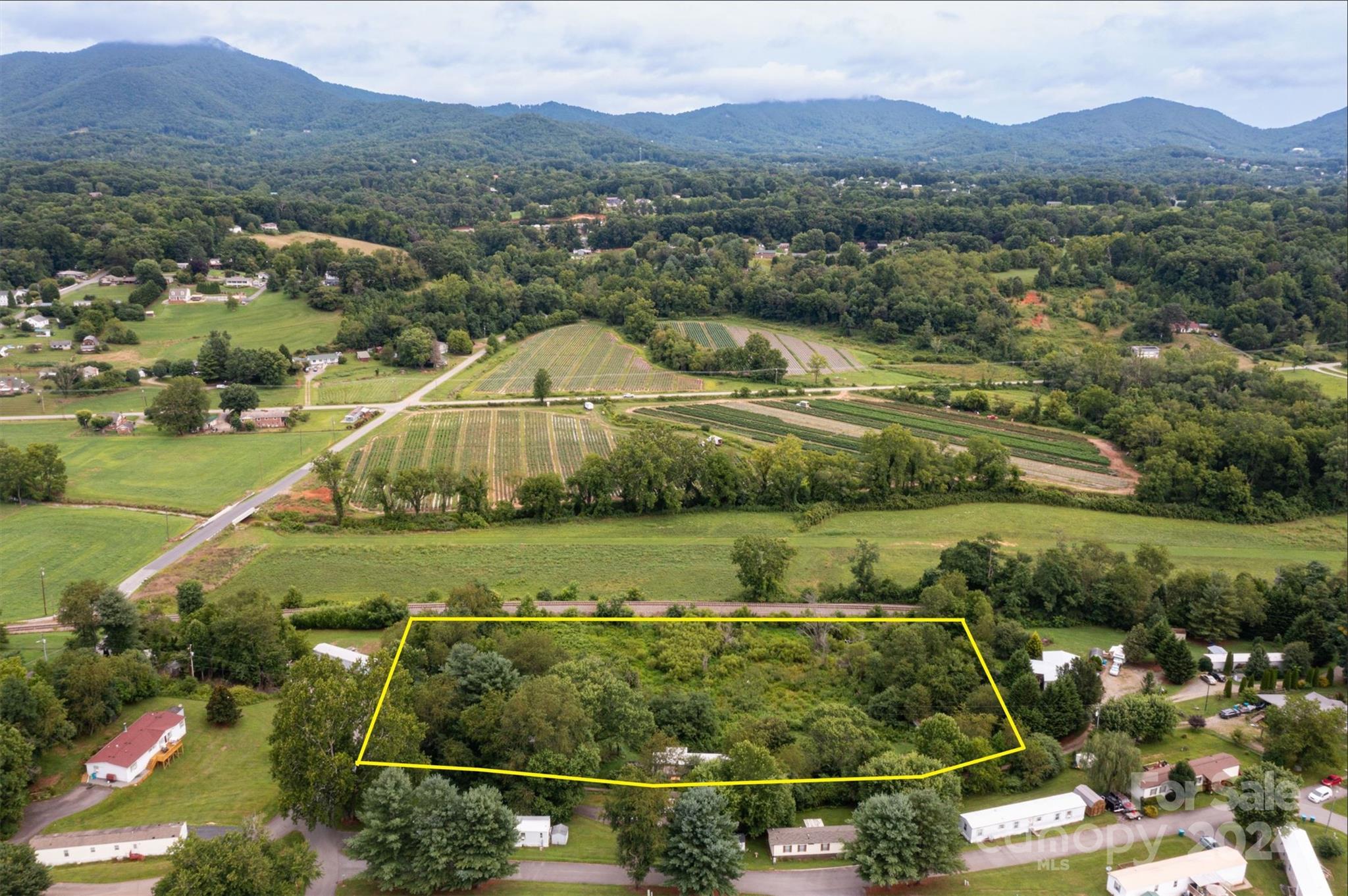 53 Old Wilson Road Candler, NC 28715 - Photo 7 of 10 Gallery Image 7