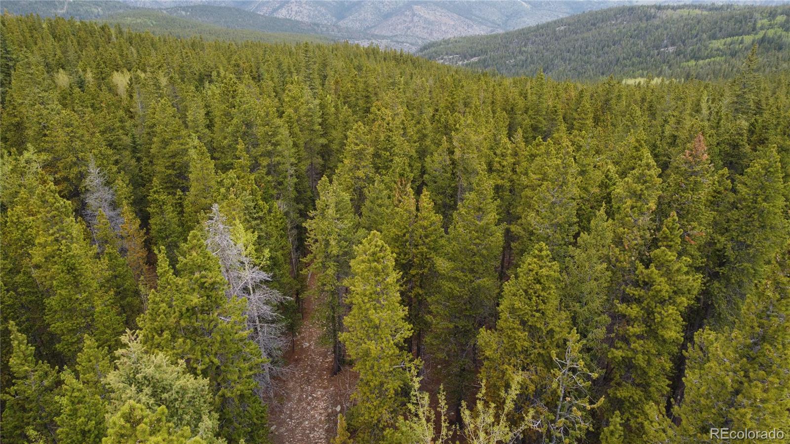 0 Hidden Wilderness Road Evergreen, CO 80439 - Photo 10 of 29