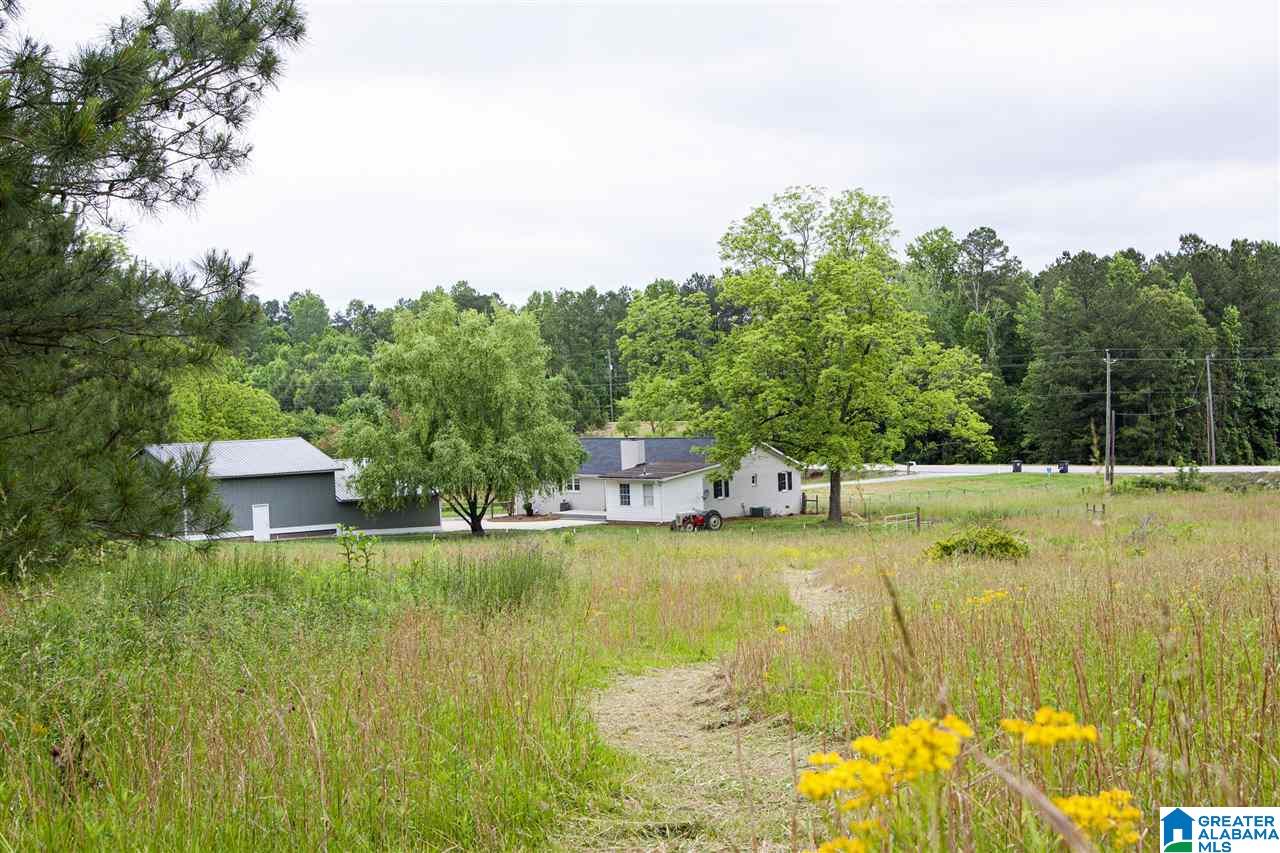 17226 Highway 46 Ranburne, AL 36273 - Photo 34 of 34