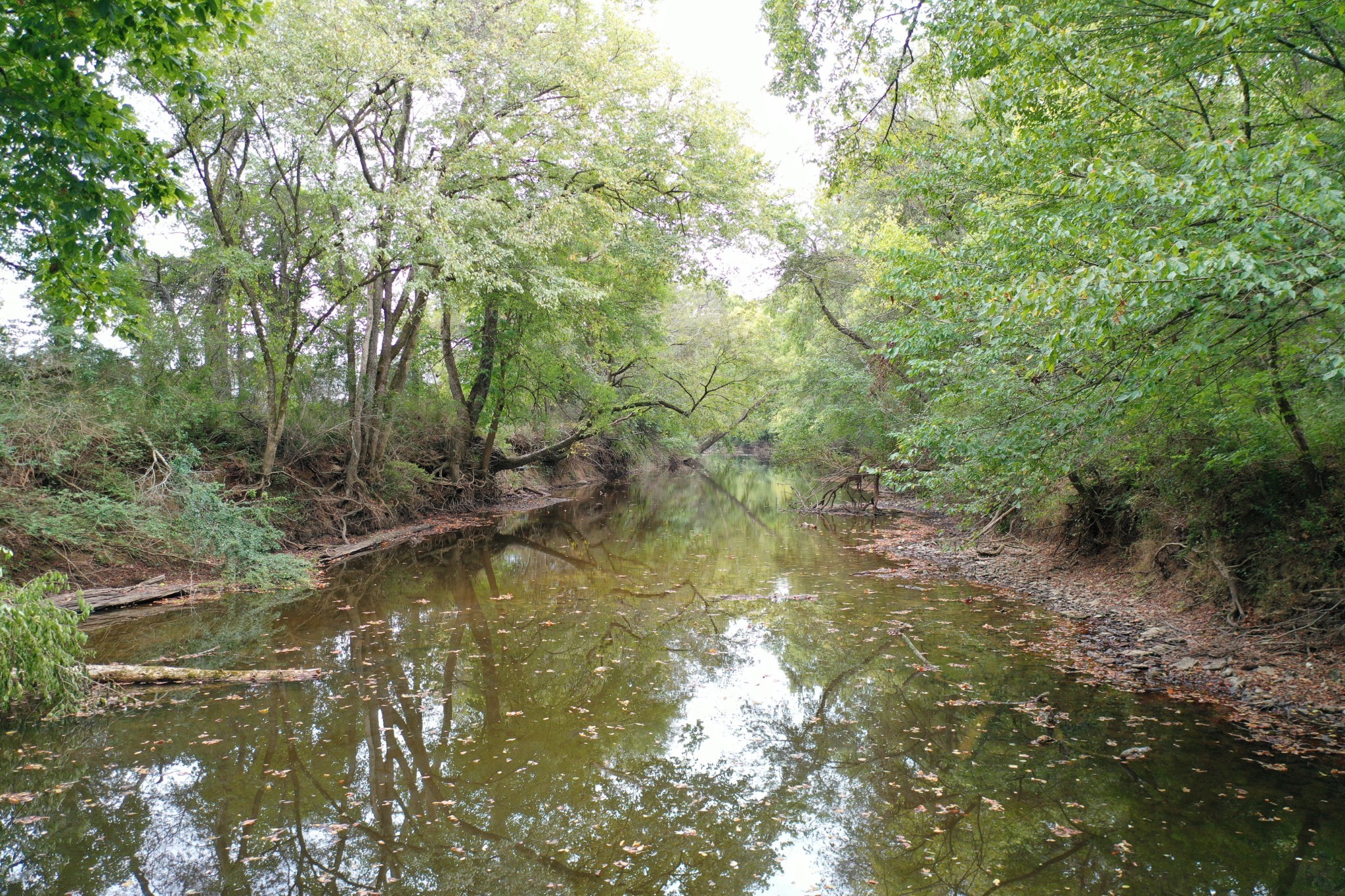 a view of a lake with trees