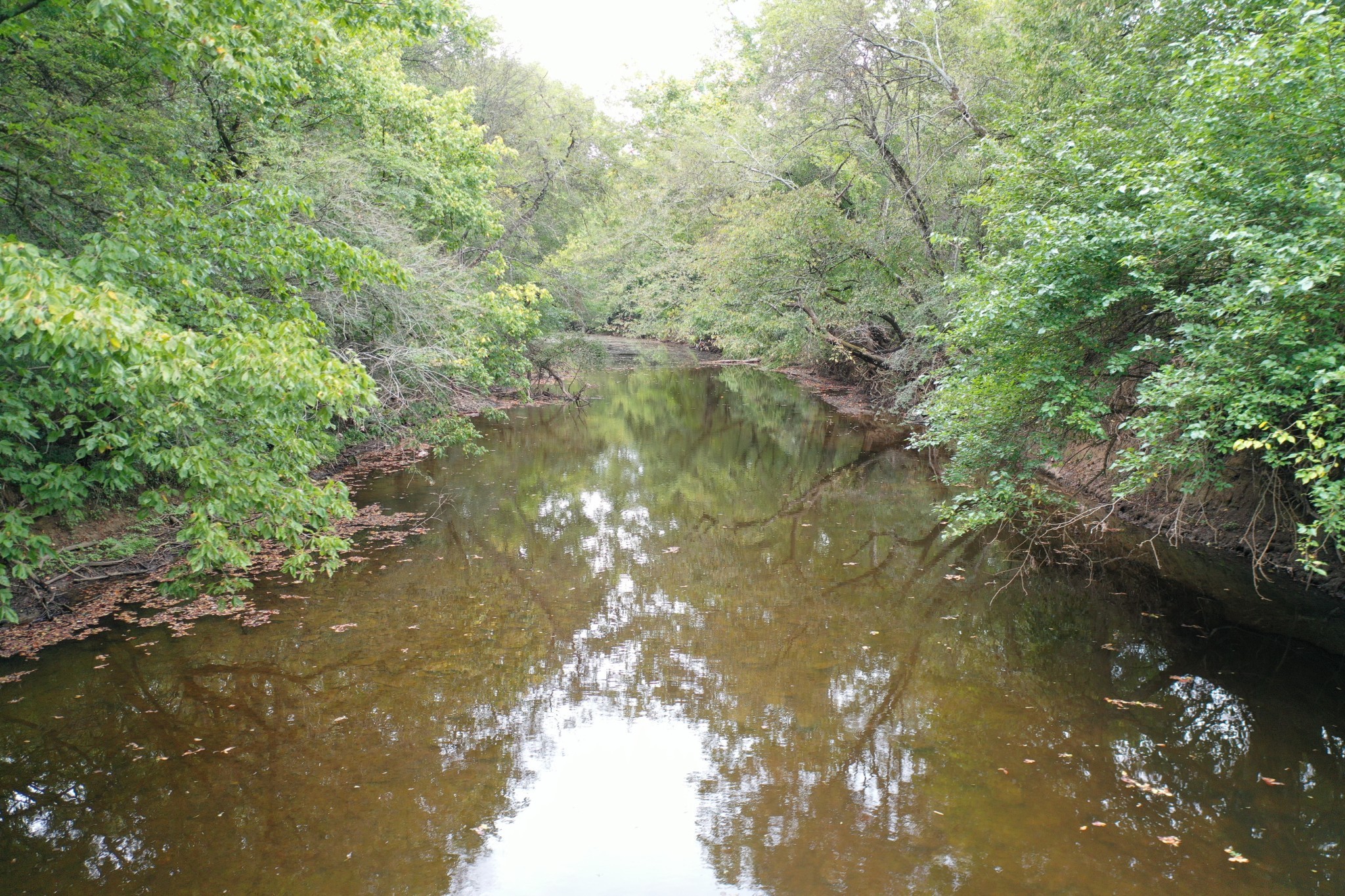 120 March Mill Road Fayetteville, TN 37334 - Photo 3 of 21 a view of a lake with a yard