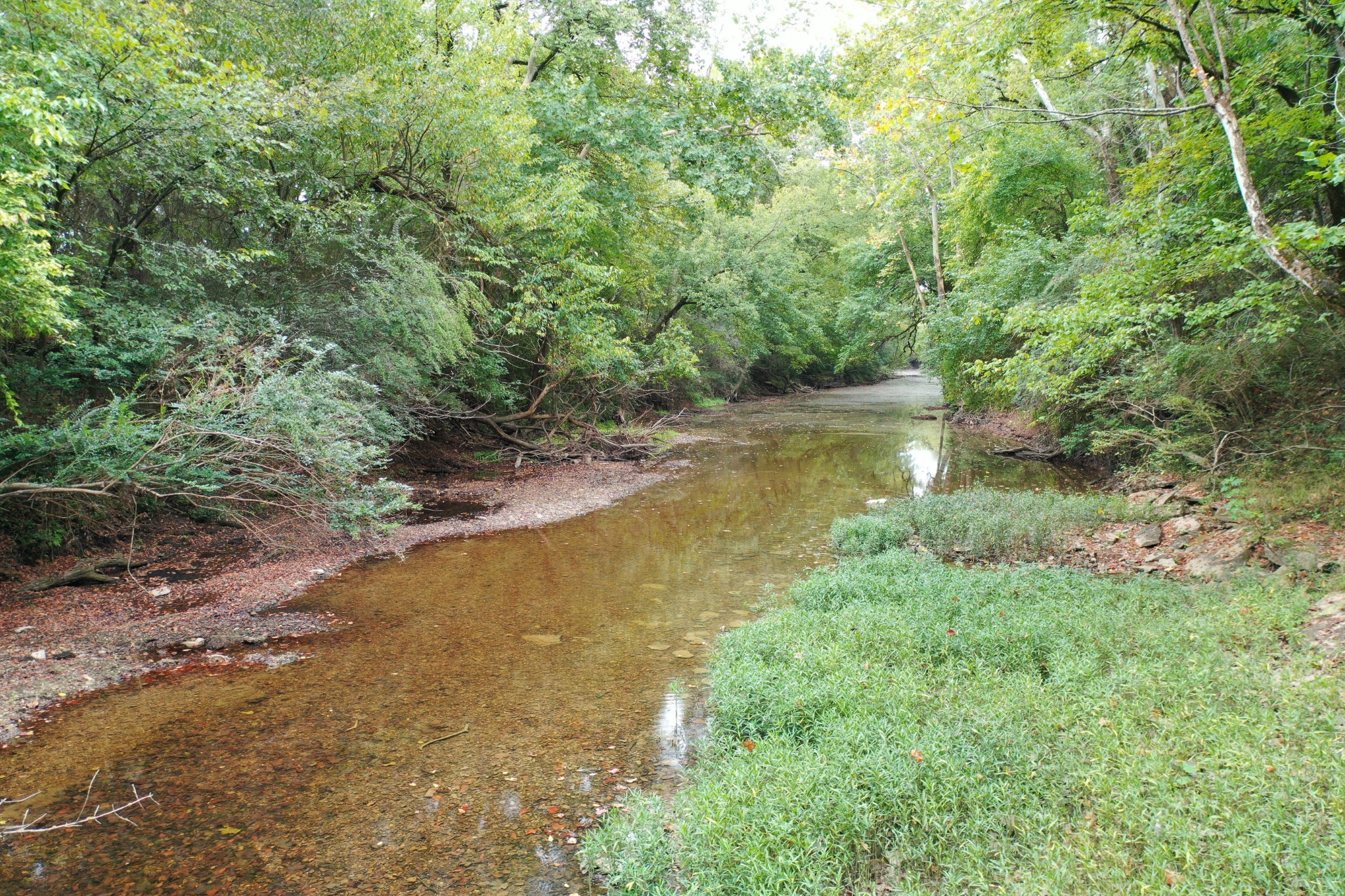 120 March Mill Road Fayetteville, TN 37334 - Photo 4 of 21 a view of a lake view with houses in back