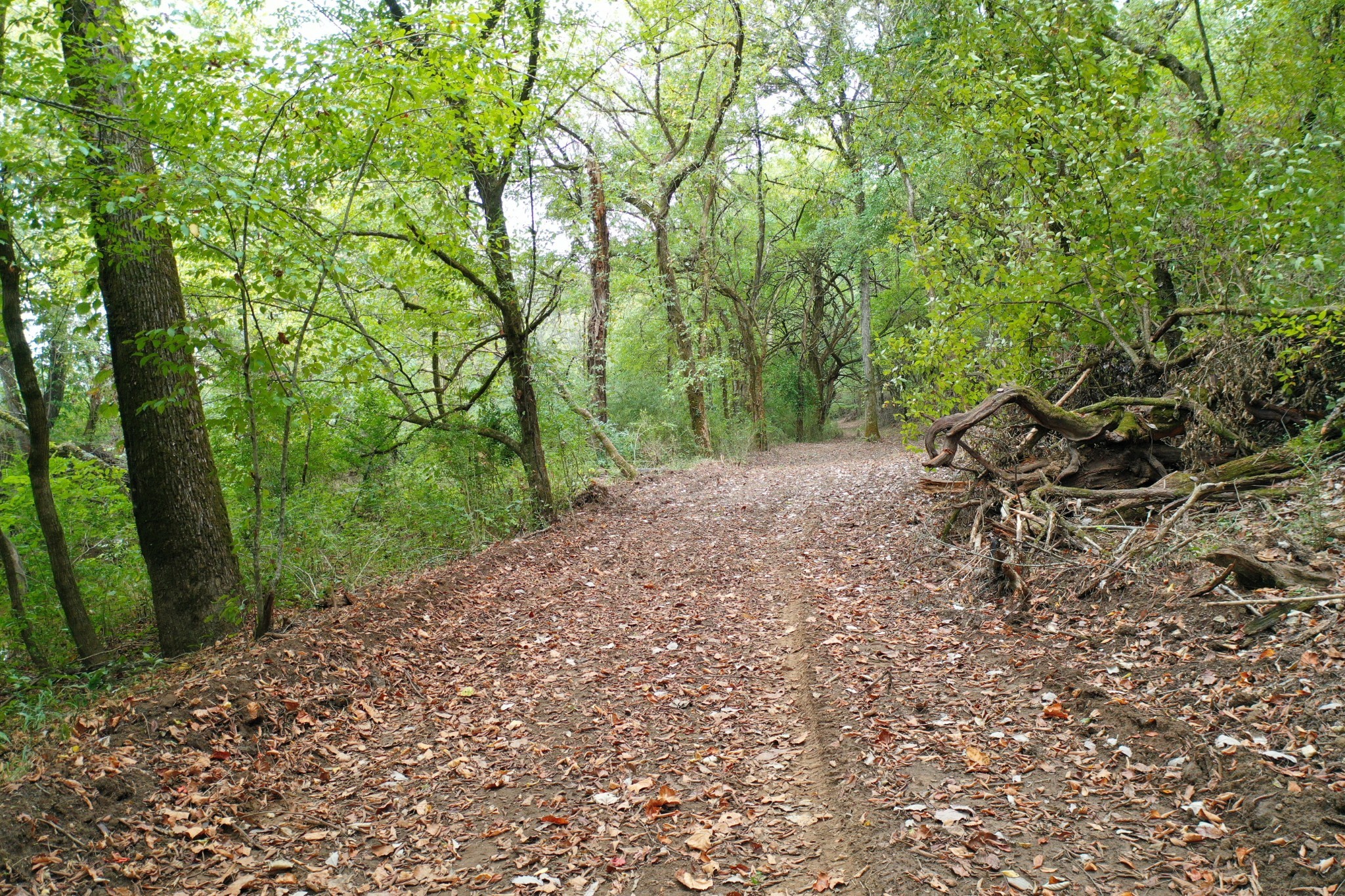 120 March Mill Road Fayetteville, TN 37334 - Photo 6 of 21 a big yard with flowing stream of water in middle