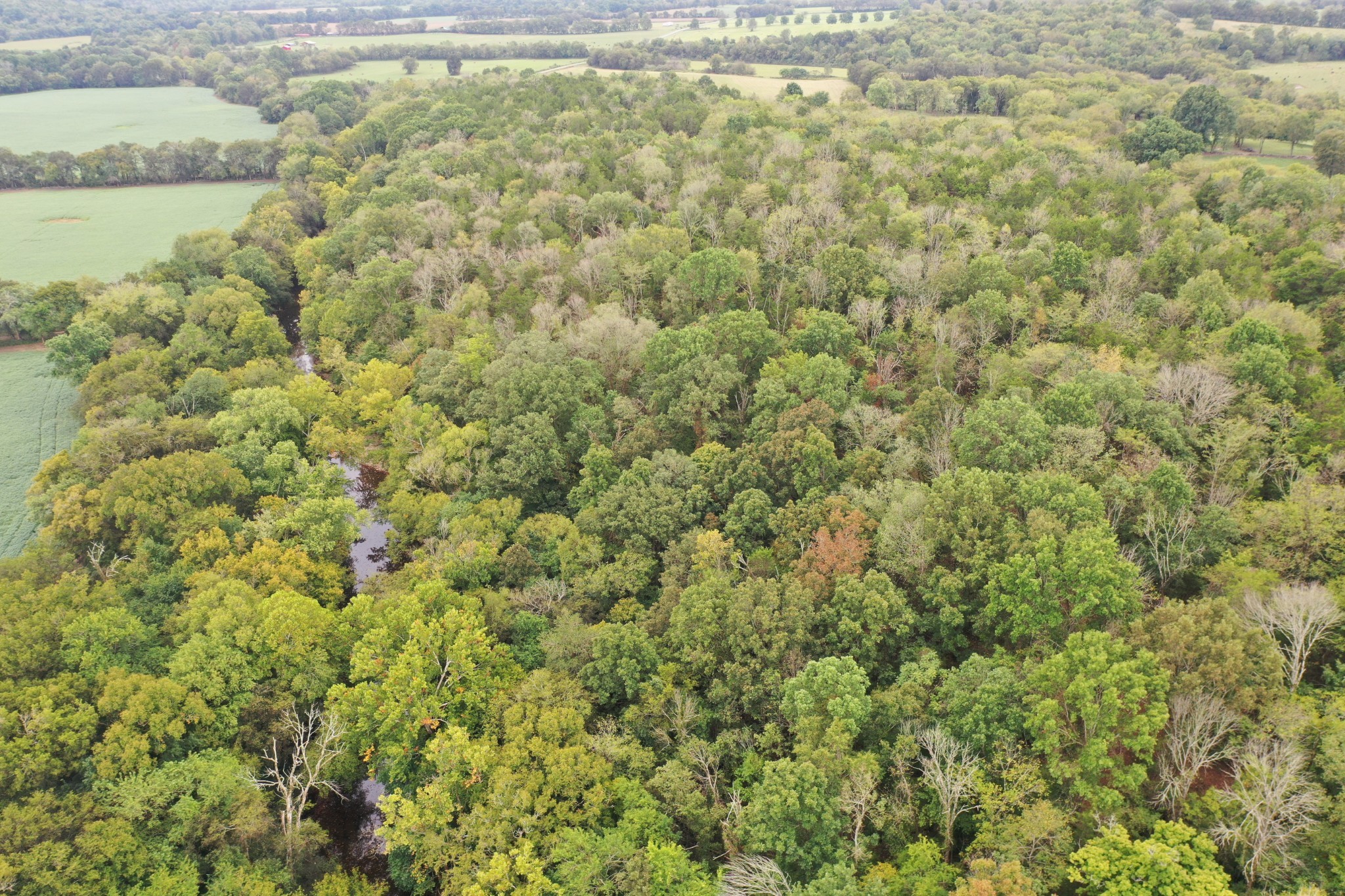 120 March Mill Road Fayetteville, TN 37334 - Photo 7 of 21 a view of a yard with an outdoor space