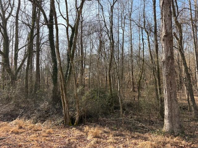 0 Ringgold Road Rock Spring, GA 30739 - Photo 3 of 3 IMG_5545