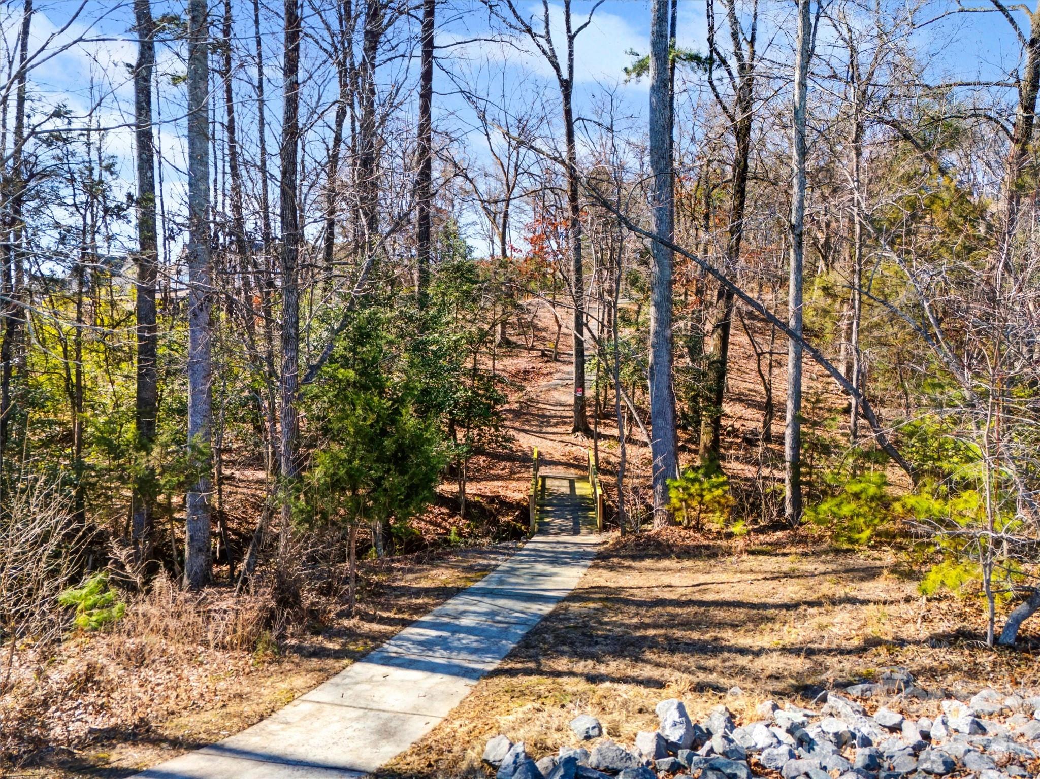 1268 Independence Street Tega Cay, SC 29708 - Photo 35 of 38