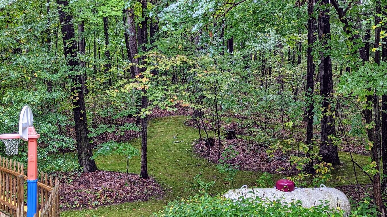 87 East Baseline Road Plainwell, MI 49080 - Photo 49 of 53 PXL_20220926_201509388