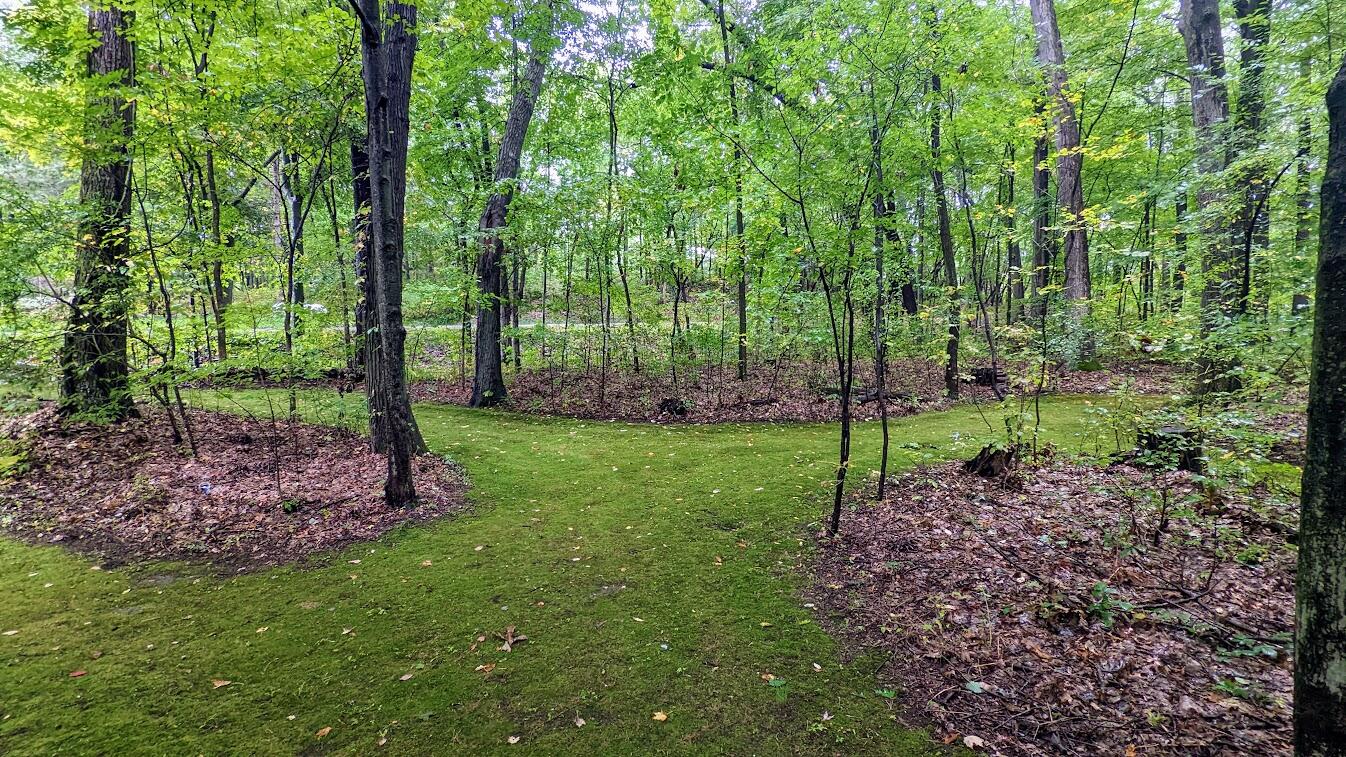 87 East Baseline Road Plainwell, MI 49080 - Photo 51 of 53 PXL_20220926_201550793