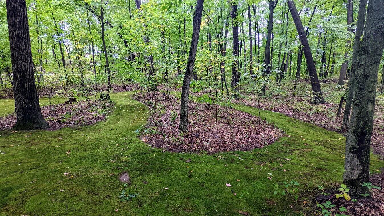 87 East Baseline Road Plainwell, MI 49080 - Photo 52 of 53 PXL_20220926_201605815