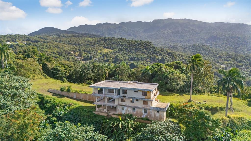 967 Bo Zarzal Rio Grande, PR 00745 - Photo 18 of 19 Gallery Image 18