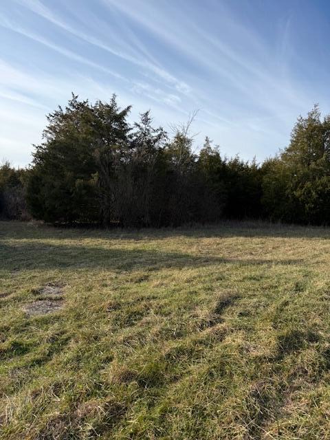 1266 Puckett Road Lawrenceburg, KY 40342 - Photo 3 of 6 IMG_9595