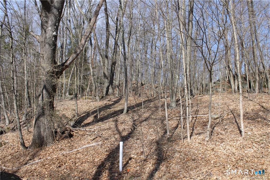 6 Alfredson Road Sherman, CT 06784 - Photo 4 of 9