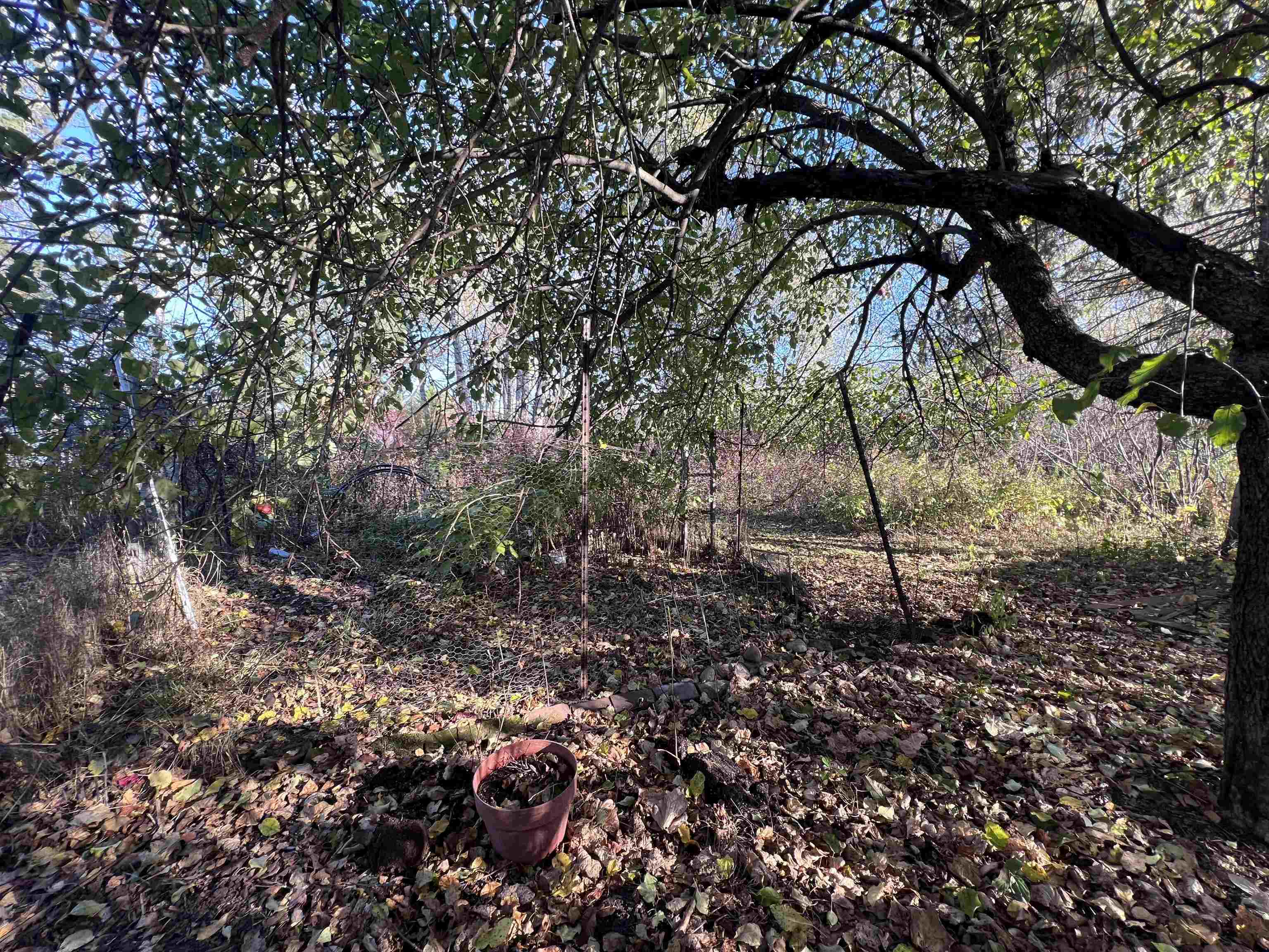 202 North 58th Street Superior, WI 54880 - Photo 28 of 30 View of undeveloped land