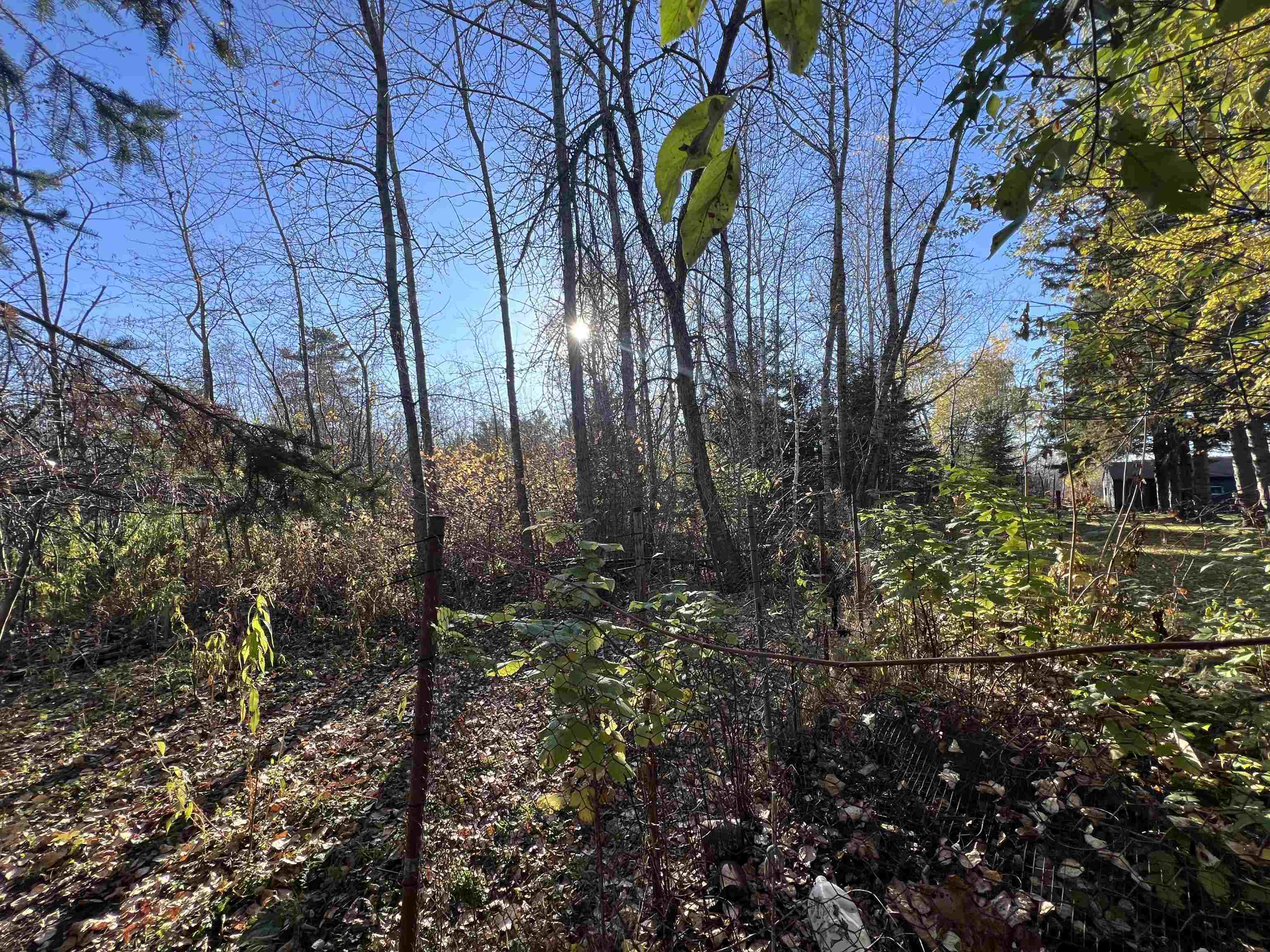 202 North 58th Street Superior, WI 54880 - Photo 29 of 30 View of wooded area