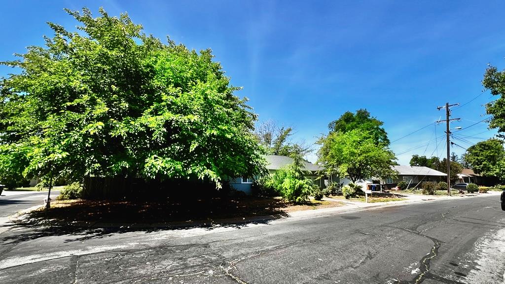 1281 Traynor Road Concord, CA 94520 - Photo 38 of 41 a view of a street with potted plants and large trees