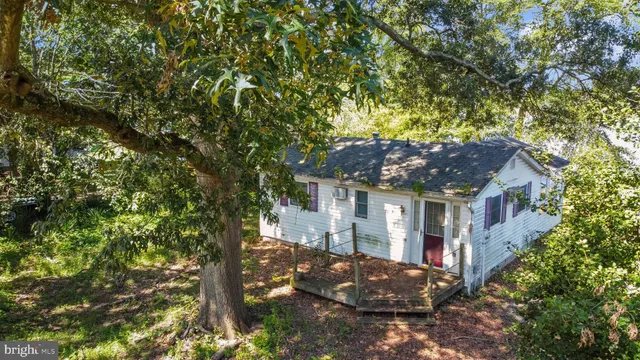 a view of house with a tree in front of it